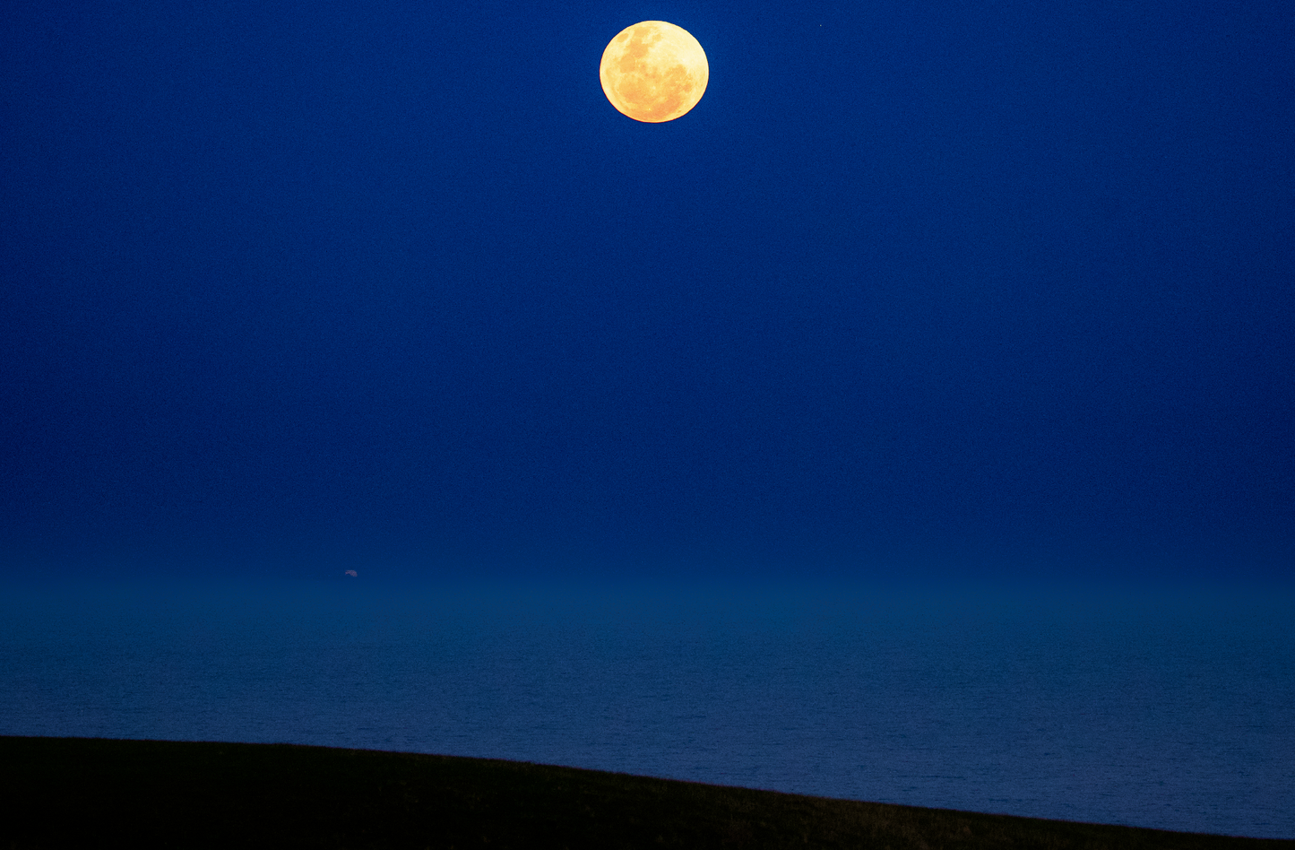 Moonshine.